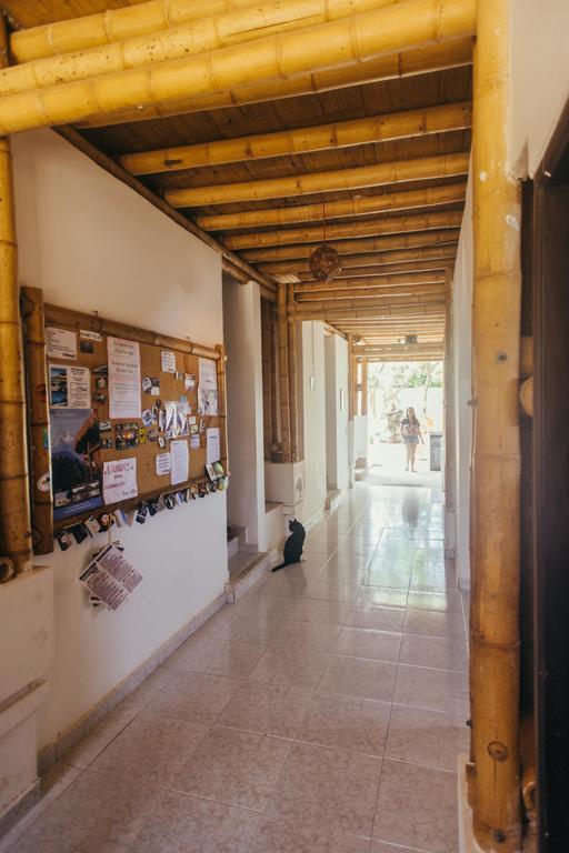 La Tortuga Hostel Taganga Buitenkant foto